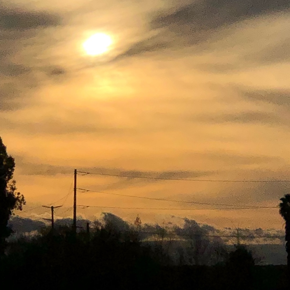 Meet your Posher, Adriana